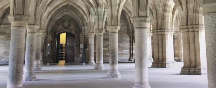 Bute Hall Under aka The Cloisters facing north.