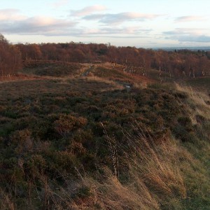 Drumclog Moor by Andrew McEwan licensed under CC-BY-SA-2.0