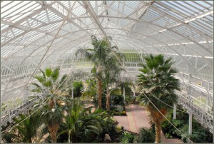 Inside the Winter Garden by Jean-Pierre Dalbéra licensed under CC-BY-2.0.