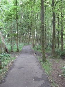 Woodland path by Richard Webb licensed under CC-BY-SA-2.0.