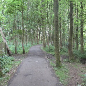 Woodland path by Richard Webb licensed under CC-BY-SA-2.0.